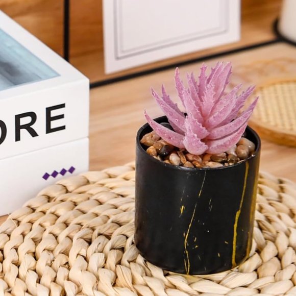 2 Plants Succulents Beautiful Home Decor - Picture 3 of 5